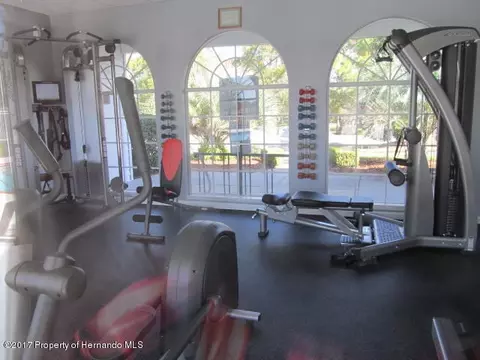 14197 Pullman, Spring Hill, FL 34609 photo 35