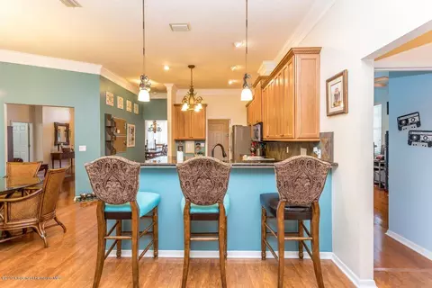 14219 Pullman, Spring Hill, FL 34609 photo 9