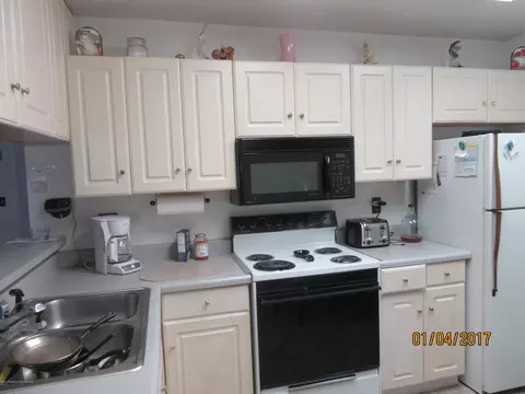 10312 Hemlock St, Spring Hill, FL 34608 photo 9