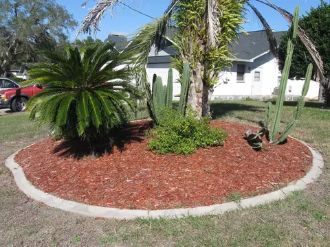 3090 Polk, Spring Hill, FL 34609 photo 4