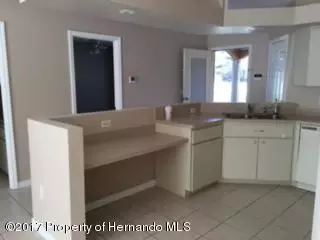 10272 Clyburn St, Spring Hill, FL 34608 photo 8