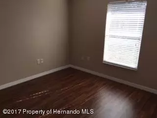 10272 Clyburn St, Spring Hill, FL 34608 photo 14
