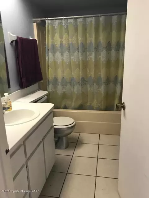 3351 Everett Ave, Spring Hill, FL 34609 photo 7