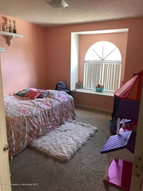 3351 Everett Ave, Spring Hill, FL 34609 photo 6