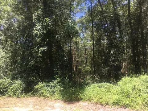33159 Pahl, Webster, FL 33597 photo 18