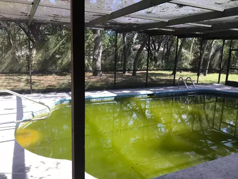 8011 Harding Ave, Spring Hill, FL 34609 photo 13