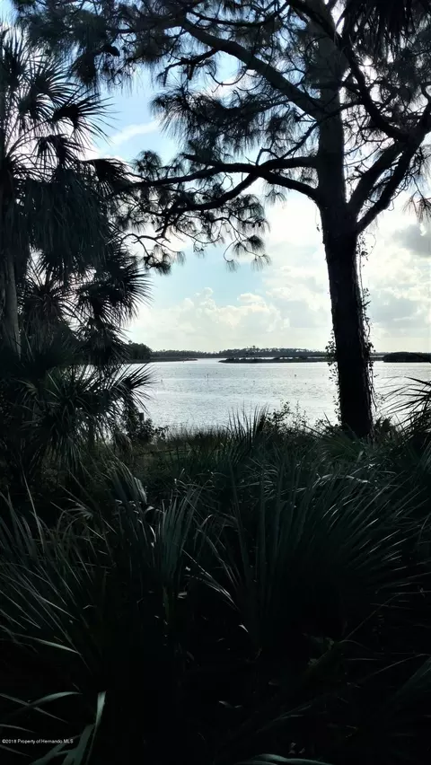 13053 Hanley, Spring Hill, FL 34609 photo 31