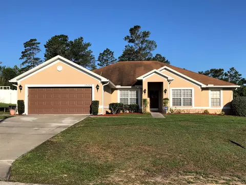 13053 Hanley, Spring Hill, FL 34609 photo 1