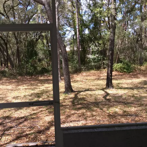 3429 Dristol Ave, Spring Hill, FL 34609 photo 15