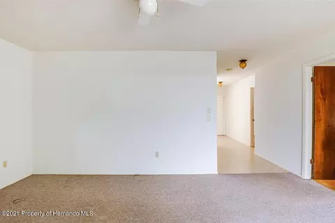 1301 Malone Ave, Spring Hill, FL 34606 photo 36