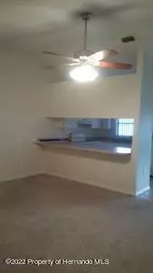 4345 Azora Rd, Spring Hill, FL 34608 photo 3