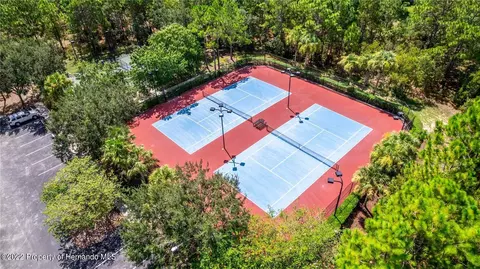 14903 Edgemere, Spring Hill, FL 34609 photo 39