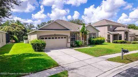 14903 Edgemere, Spring Hill, FL 34609 photo 47