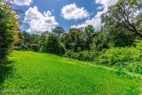 14903 Edgemere, Spring Hill, FL 34609 photo 36