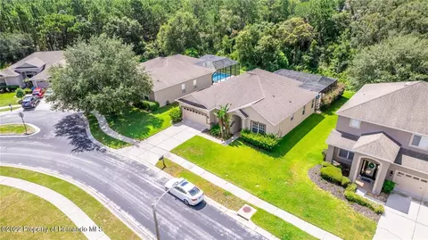 14903 Edgemere, Spring Hill, FL 34609 photo 46