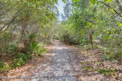 7257 Sylvan Glade, Weeki Wachee, FL 34607 photo 57