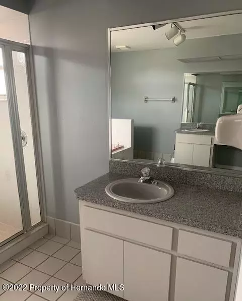 8416 Dora, Spring Hill, FL 34608 photo 9