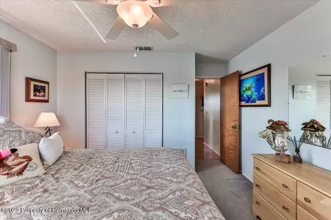 4198 Diaz, Hernando Beach, FL 34607 photo 41
