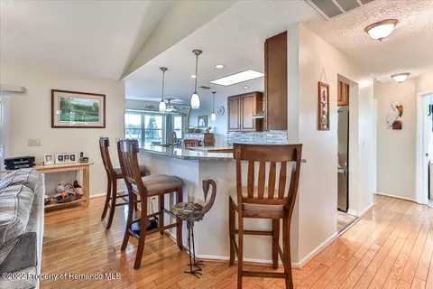4198 Diaz, Hernando Beach, FL 34607 photo 23