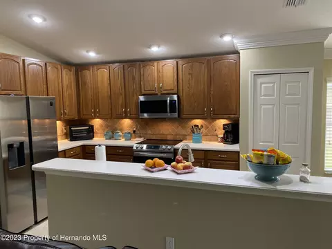 367 Barrington Ct, Spring Hill, FL 34609 photo 22