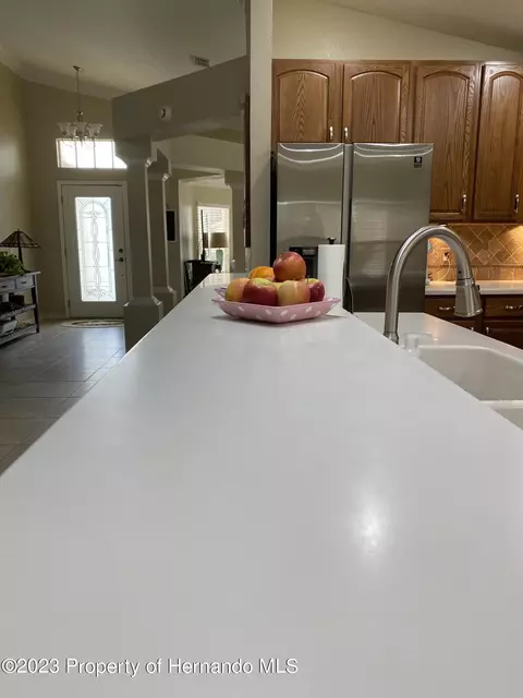 367 Barrington Ct, Spring Hill, FL 34609 photo 26