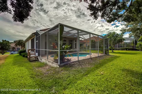 143 W Mickey Mantle, Hernando, FL 34442 photo 41