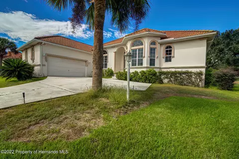 143 W Mickey Mantle, Hernando, FL 34442 photo 2