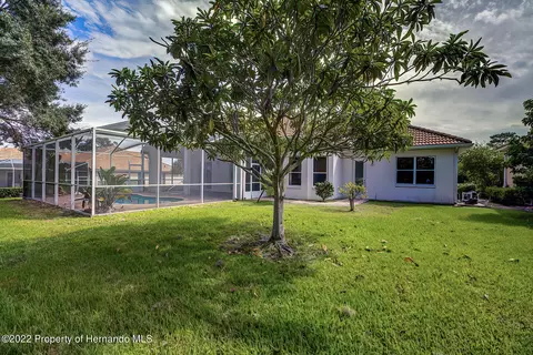 143 W Mickey Mantle, Hernando, FL 34442 photo 43