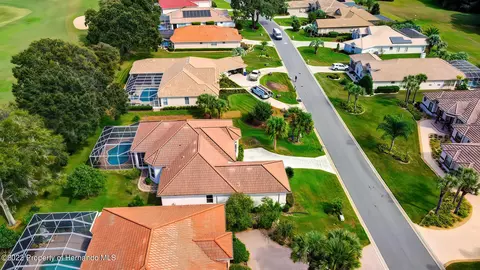 143 W Mickey Mantle, Hernando, FL 34442 photo 65