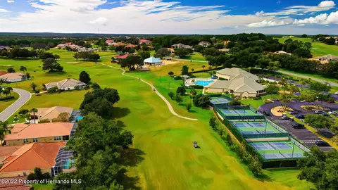 143 W Mickey Mantle, Hernando, FL 34442 photo 46