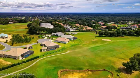 143 W Mickey Mantle, Hernando, FL 34442 photo 52