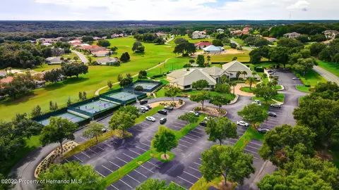 143 W Mickey Mantle, Hernando, FL 34442 photo 49