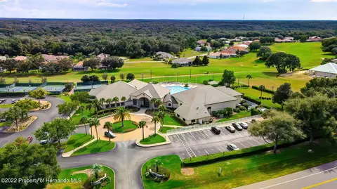 143 W Mickey Mantle, Hernando, FL 34442 photo 50