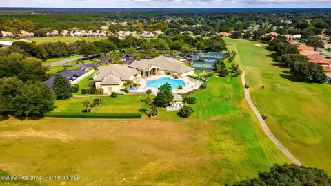 143 W Mickey Mantle, Hernando, FL 34442 photo 54