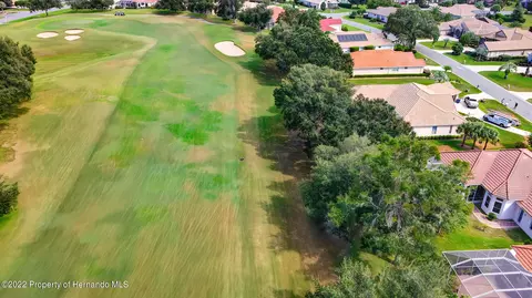 143 W Mickey Mantle, Hernando, FL 34442 photo 64