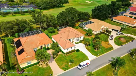 143 W Mickey Mantle, Hernando, FL 34442 photo 66