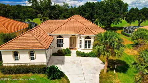 143 W Mickey Mantle, Hernando, FL 34442 photo 56