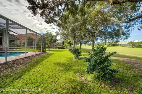 143 W Mickey Mantle, Hernando, FL 34442 photo 42
