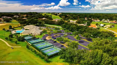 143 W Mickey Mantle, Hernando, FL 34442 photo 45