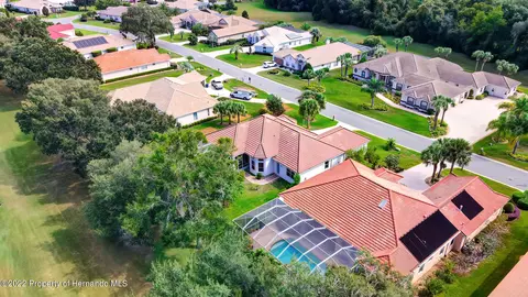 143 W Mickey Mantle, Hernando, FL 34442 photo 63