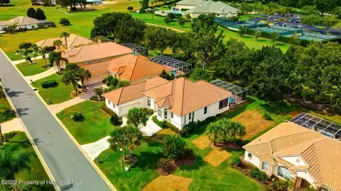 143 W Mickey Mantle, Hernando, FL 34442 photo 59