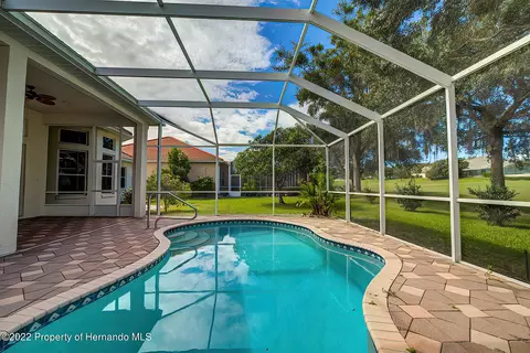 143 W Mickey Mantle, Hernando, FL 34442 photo 40