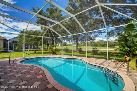 143 W Mickey Mantle, Hernando, FL 34442 photo 39