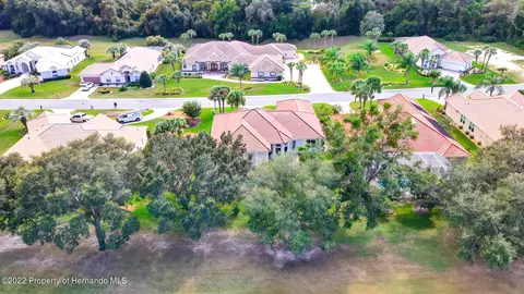 143 W Mickey Mantle, Hernando, FL 34442 photo 62