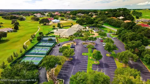 143 W Mickey Mantle, Hernando, FL 34442 photo 48