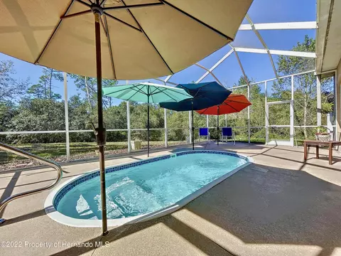 2445 Evenglow, Spring Hill, FL 34609 photo 39
