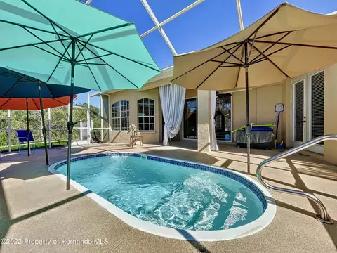 2445 Evenglow, Spring Hill, FL 34609 photo 40