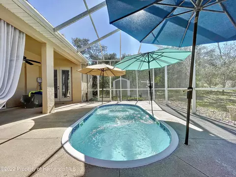 2445 Evenglow, Spring Hill, FL 34609 photo 38