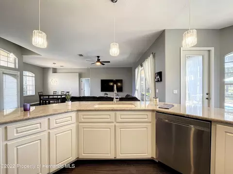 2445 Evenglow, Spring Hill, FL 34609 photo 17