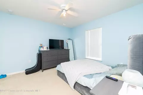 7299 County Line, Spring Hill, FL 34606 photo 36